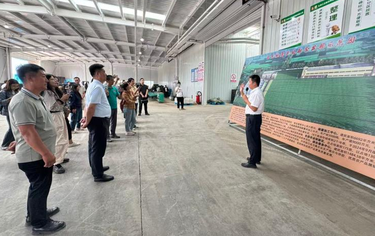 天津宁河积极打造“北方高端甘薯生产研发基地”